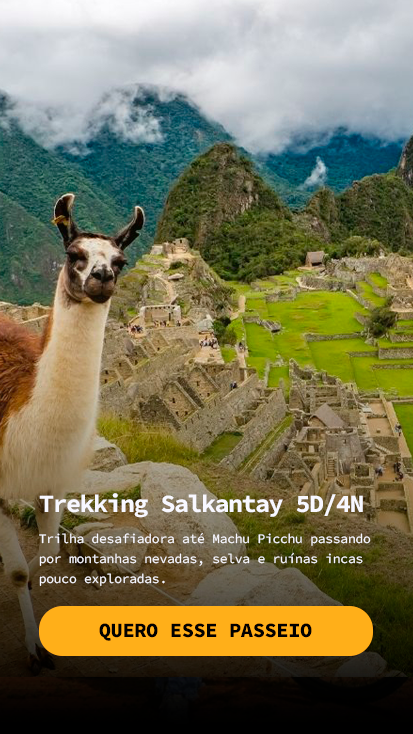 Lhama em frente a Machu Picchu, cenário da trilha Salkantay, no Peru - Passeios em cusco, Peru - Fui Gostei Trips.