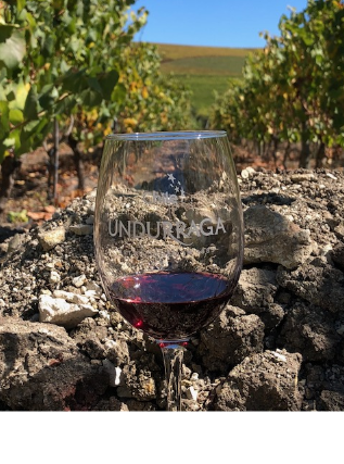 vinicola no chile, com uma taça de vinho centralizada na foto