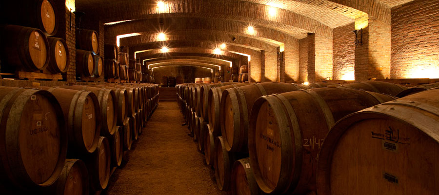 barris de vinho em uma vinícola do Chile