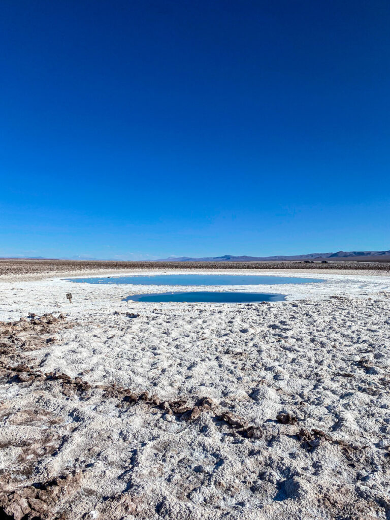 lagunas-escondidas-de-baltinache-deserto-do-atacama (4)