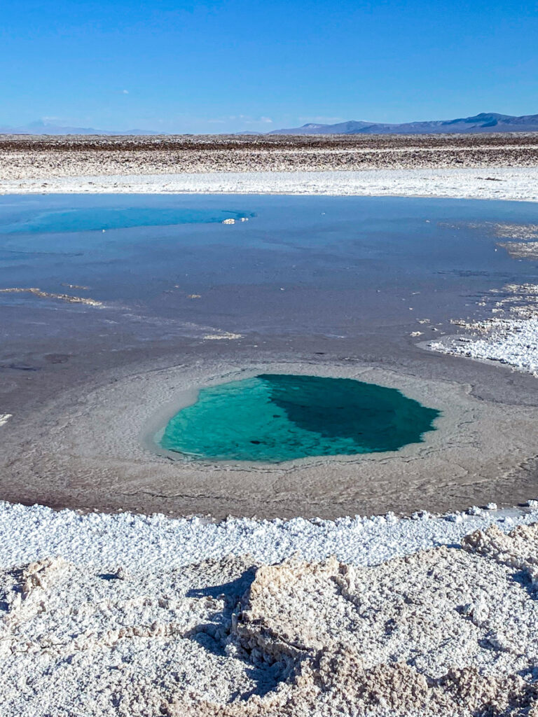 lagunas-escondidas-de-baltinache-deserto-do-atacama (5)