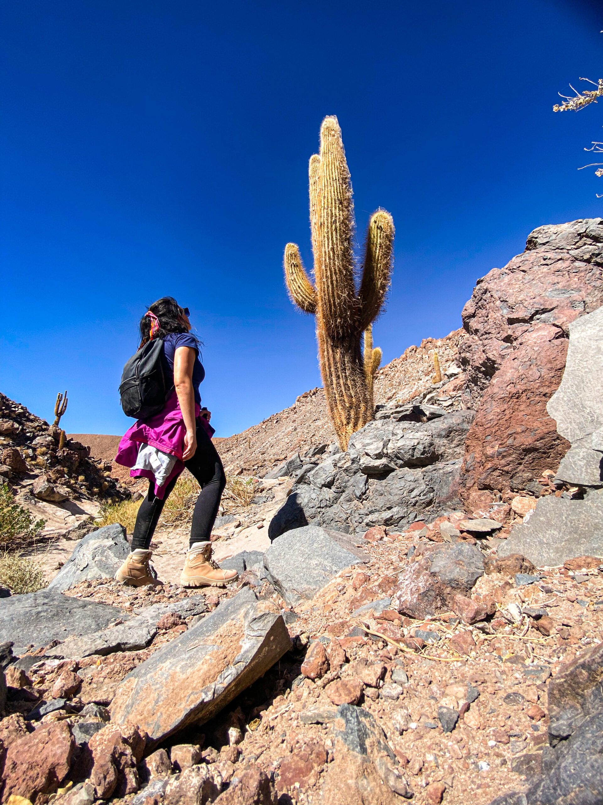 deserto-do-atacama-e-seguro-para-mulheres-viajando-sozinhas (2)