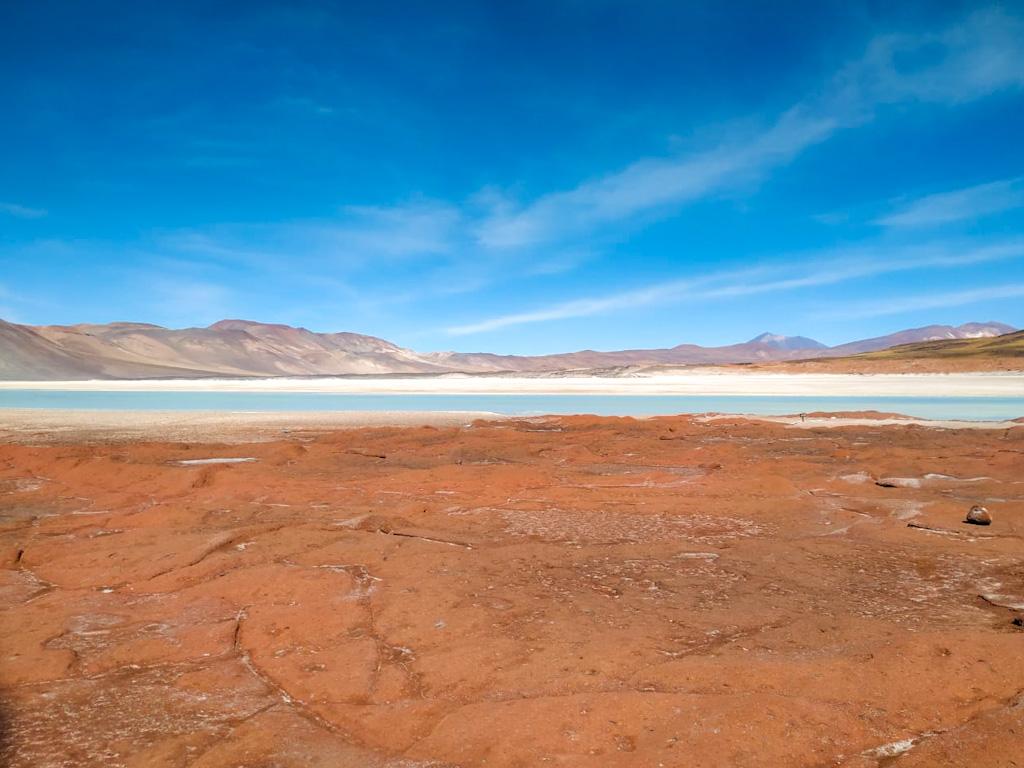 piedras-rojas-e-lagunas-altiplanicas (6)