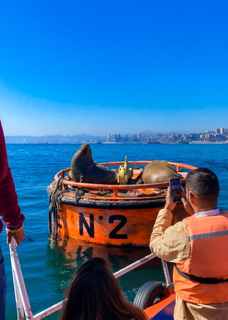 valparaiso-vina-del-mar-vale-a-pena (2)