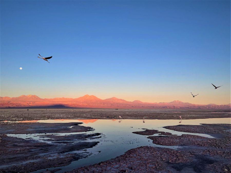 por do sol no atacama, chile