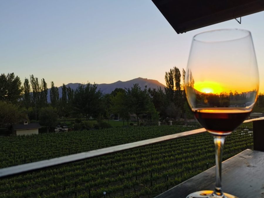 Verao-e-a-melhor-epoca-para-conhecerivinicolas-em-Santiago (3)