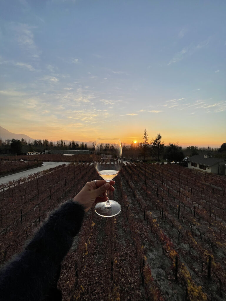 Uma mão segurando uma taça de vinho, com uma paisagem de árvores ao fundo e parreirais de uva ao fundo, além de um pôr-do-sol.
