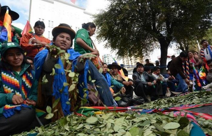 cocaleros bolivia Foto EFE