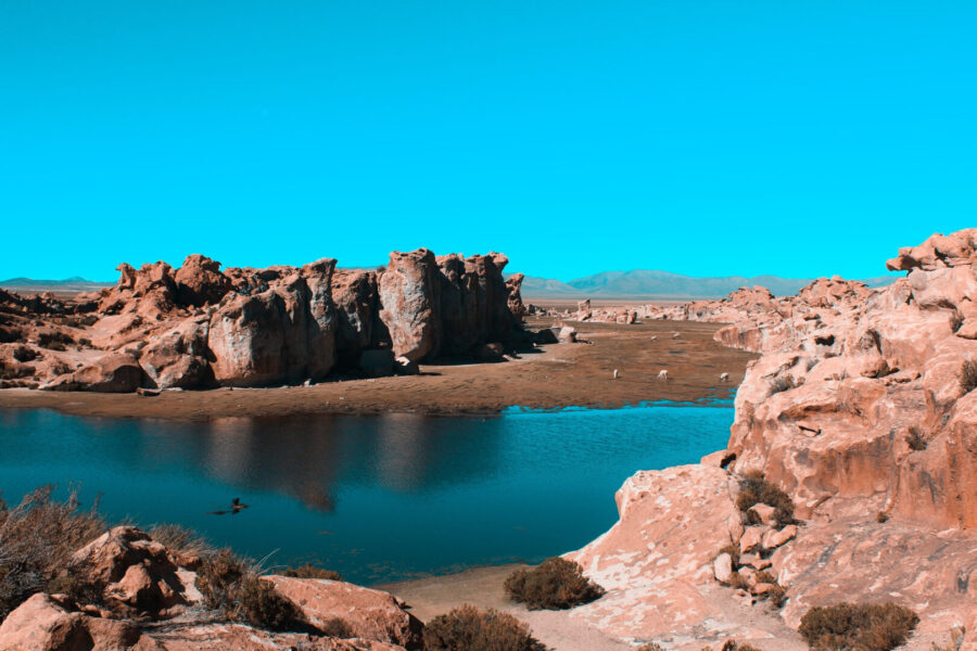 lagoa localizada no Deserto do Atacama