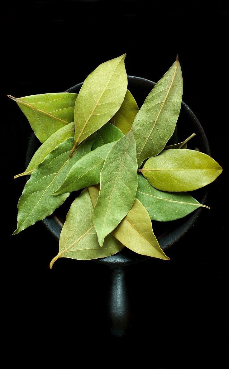 Folha de cocapara o frio no salar de uyuni