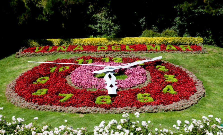 Relógio de flores em vina del mar no chile. Visto de cima, as cores são vermelho, verde e o ponteiro branco.