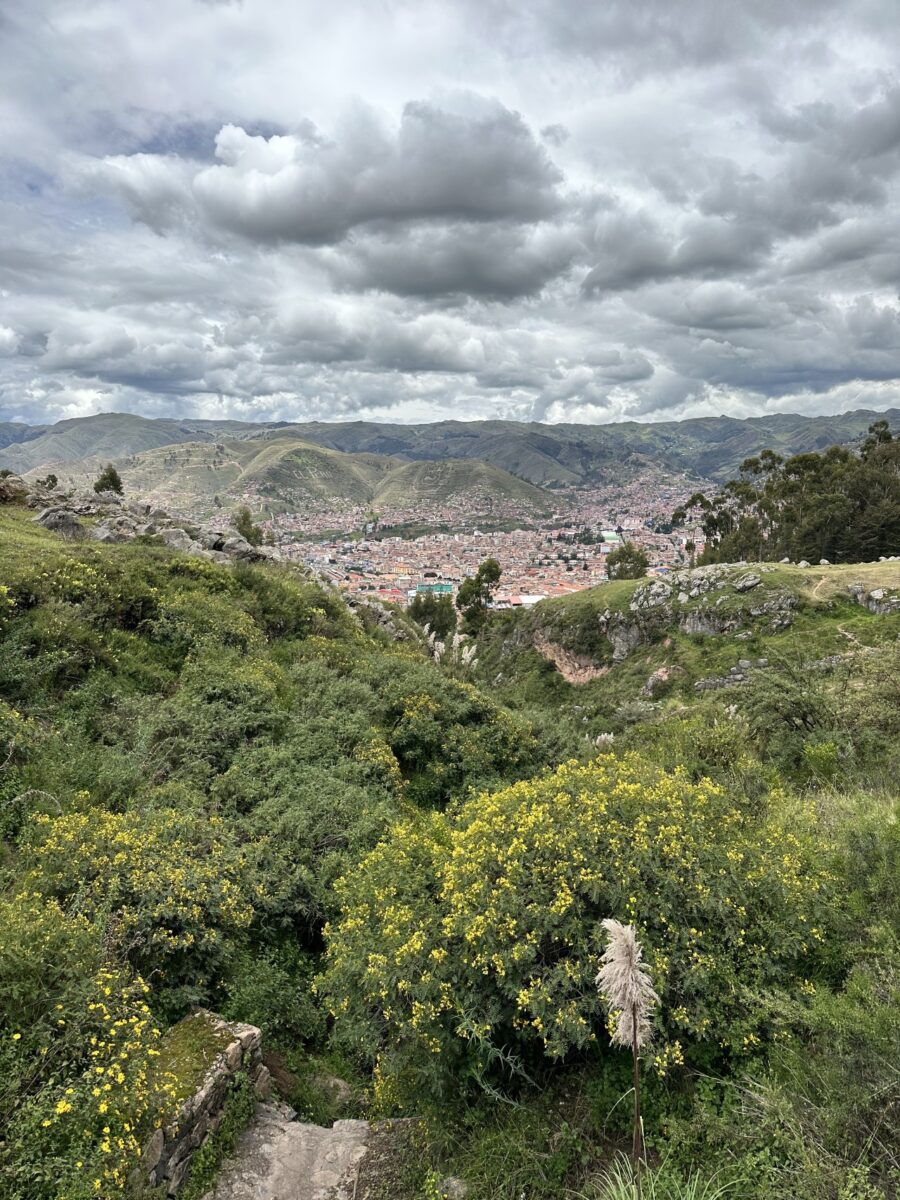 imagem panoramica de la paz, na bolivia, com uma grande cidade por trás de uma floresta