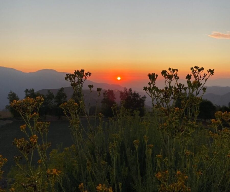 Pôr do sol nas montanhas próximas a Santiago com vegetação em primeiro plano e céu alaranjado.