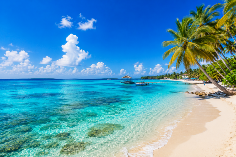 Paisagem de San Andrés com píer sobre águas cristalinas e coqueiros tropicais, uma das atrações de quem faz Cartagena e San Andrés no roteiro.