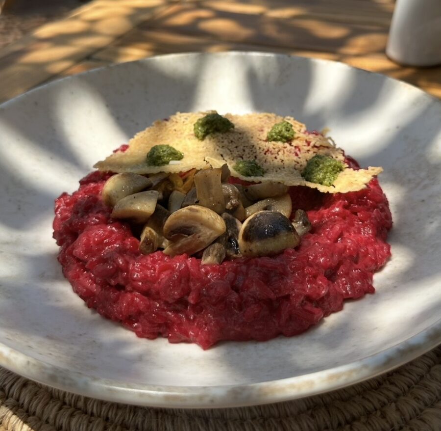 Risoto de coloração vibrante com cogumelos e crocante de queijo, exemplo da influência contemporânea na gastronomia em Cartagena.