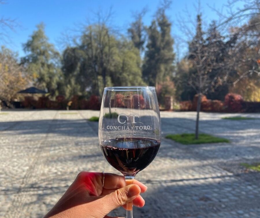 Taça de vinho da vinícola Concha y Toro durante uma viagem a Santiago em 2027