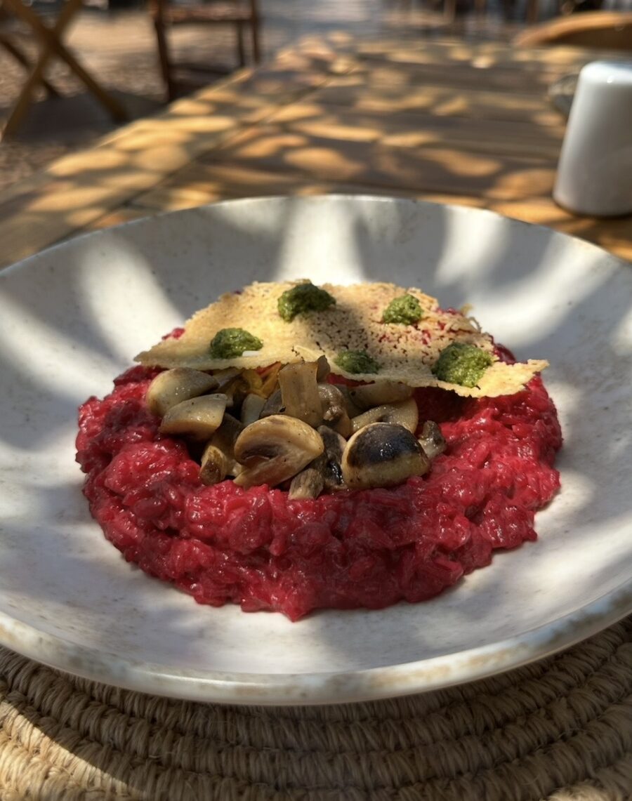 Prato de risoto de beterraba com cogumelos e chips de queijo em um ambiente externo ensolarado, um exemplo da gastronomia em San Andrés