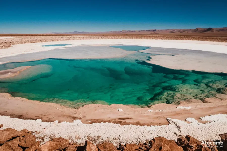 Calcule suas férias: Lagoa de água cristalina turquesa cercada por uma crosta de sal branca em uma paisagem desértica sob um céu azul