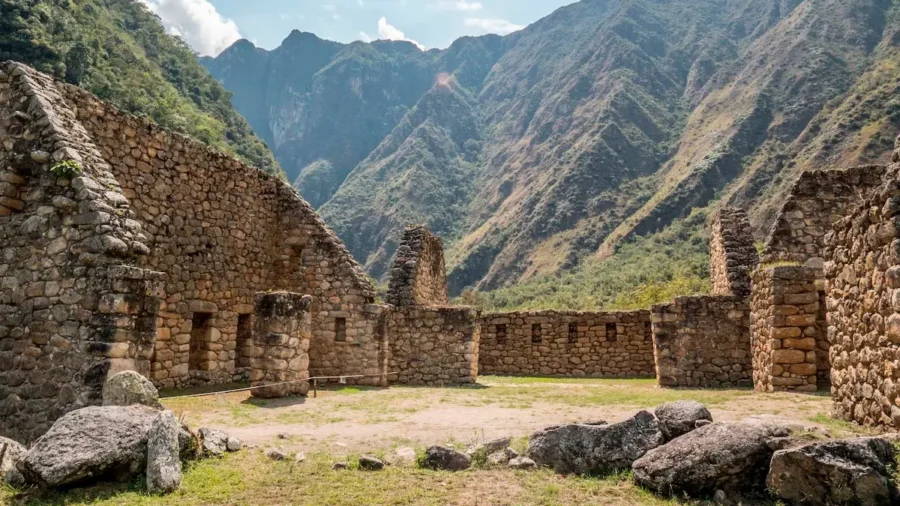 Paisagem de alta altitude em um deserto andino, com vegetação rasteira amarelada e depósitos de sal branco em primeiro plano. Ao fundo, encostas marrons áridas e uma grande montanha sob um céu azul profundo e sem nuvens. Possibilidade de onde viajar no Ano Novo 2026 ou no Natal